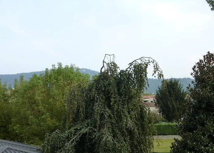 Belvedere